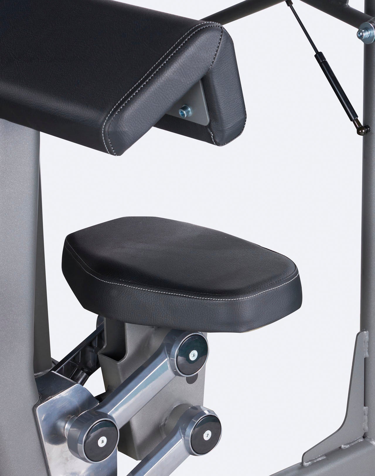 PLX 7700 - Biceps / triceps curl