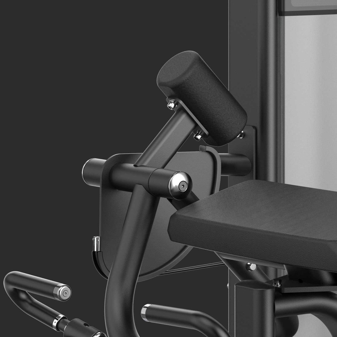 PLX 8600 - Biceps curl