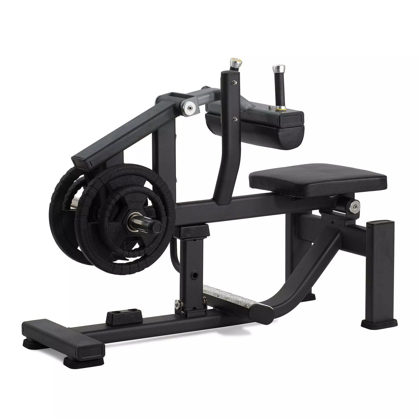 S300 Sitting Calf