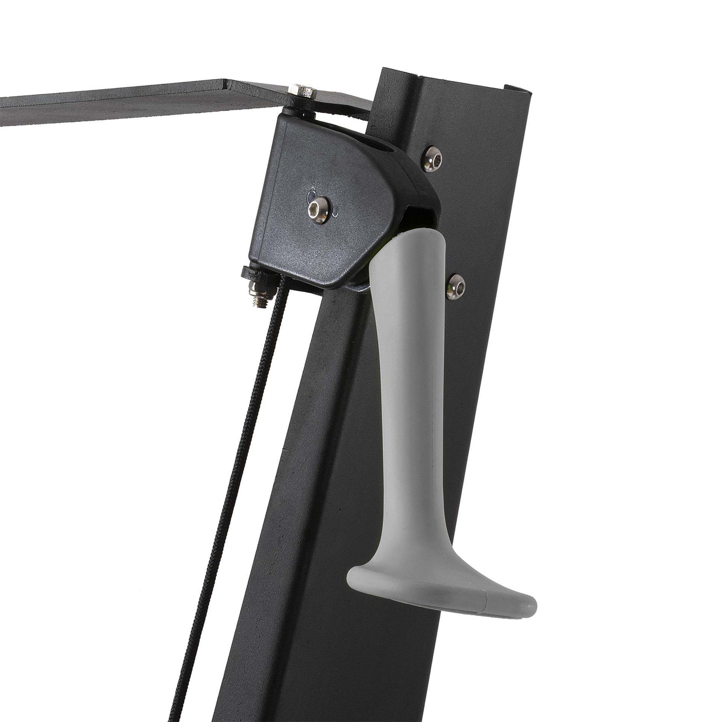 Ski Aktive Trainer