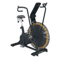 Air Dyne X Octane