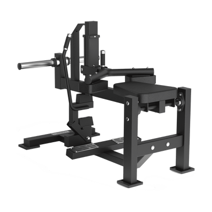 FWX 7800 - Seated calf