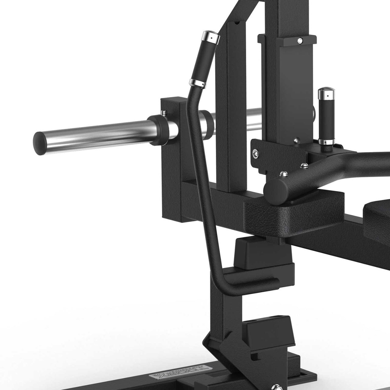FWX 7800 - Seated calf