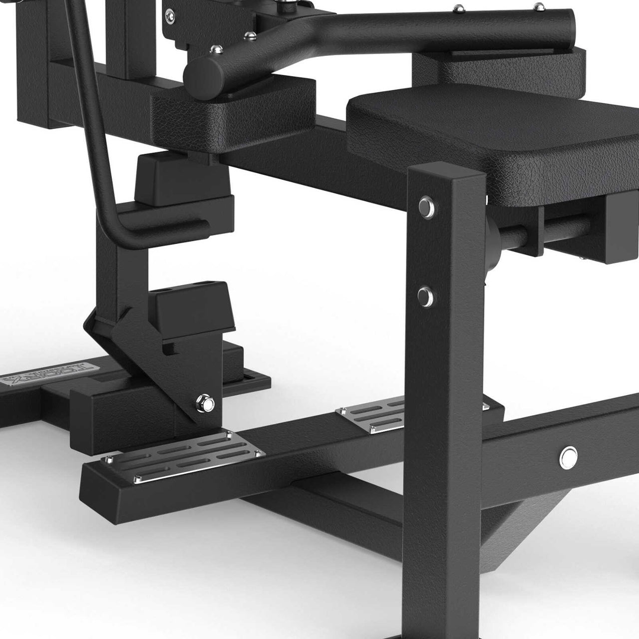 FWX 7800 - Seated calf