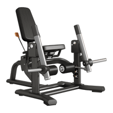 FWX 9400 - Leg extension