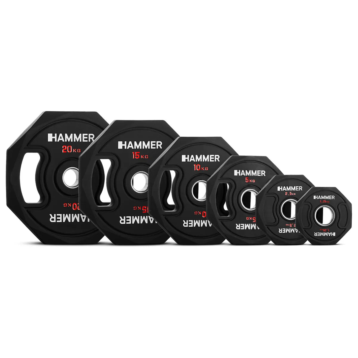 Hammer Dischi Hexagon Premium