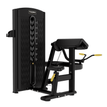 PLX 3800 - Curl bicipiti