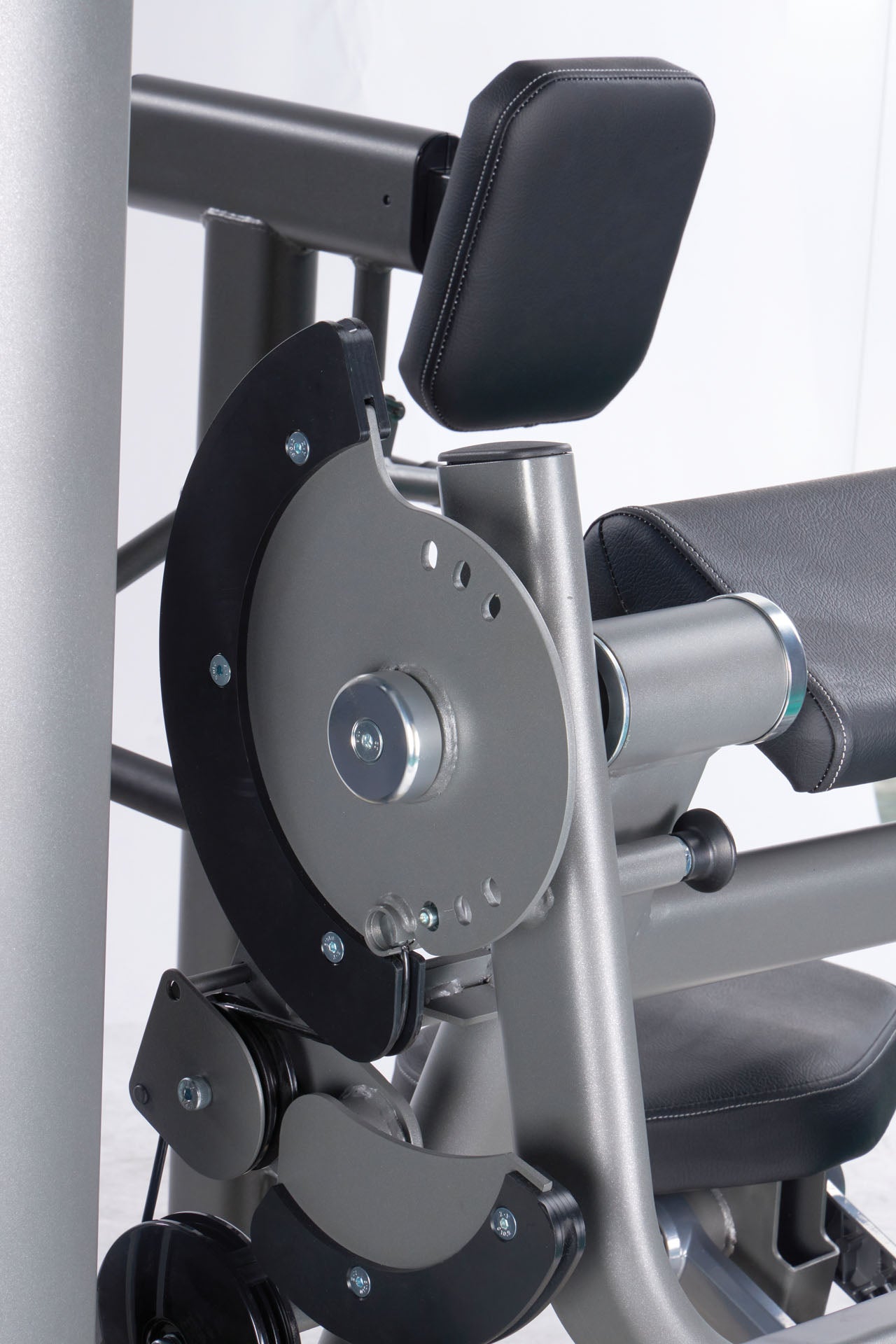 PLX 7700 - Biceps / triceps curl