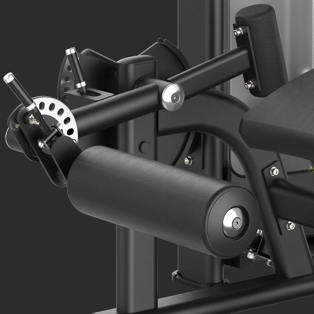 PLX 8900 - Prone leg curl