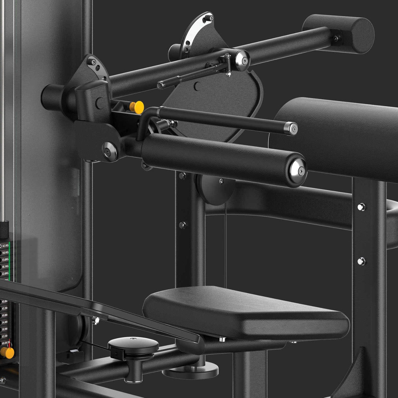 PLX 9000 - Hip thrust