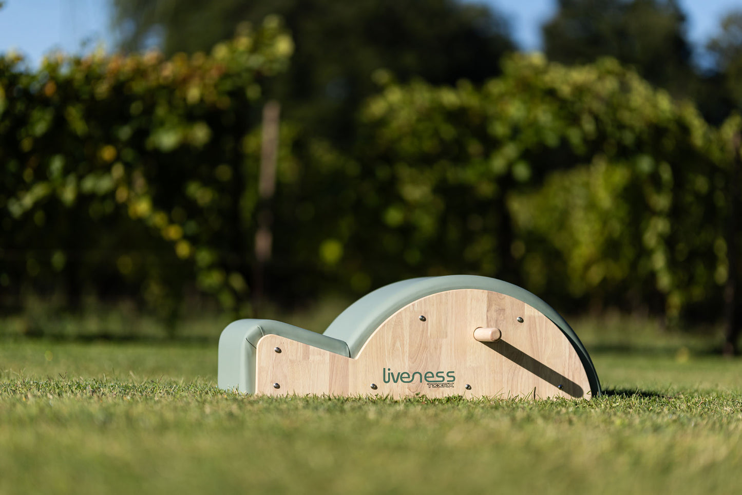 Spine corrector PTX 1700