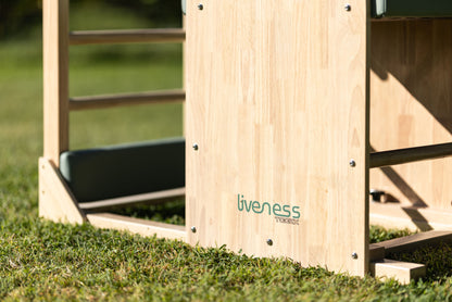 Ladder Barrel PTX 1900