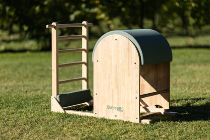 Ladder Barrel PTX 1900