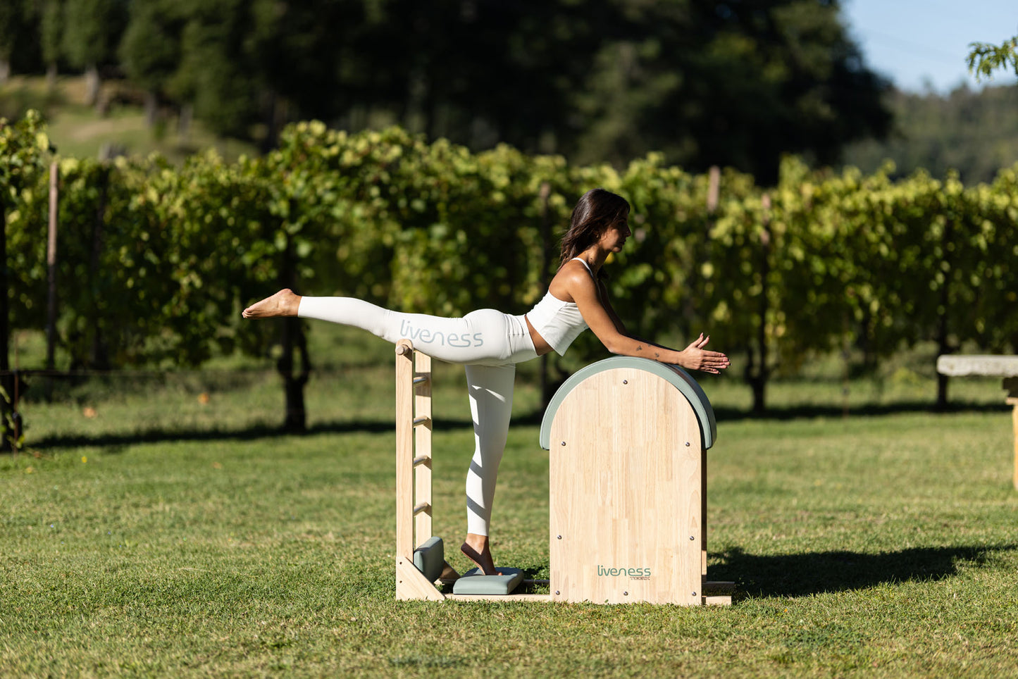 Ladder Barrel PTX 1900