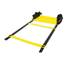 Scaletta veloce agility