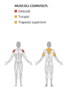 muscoli shoulderpress